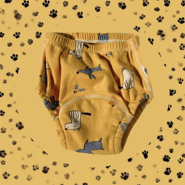 Culottes d'Apprentissage
